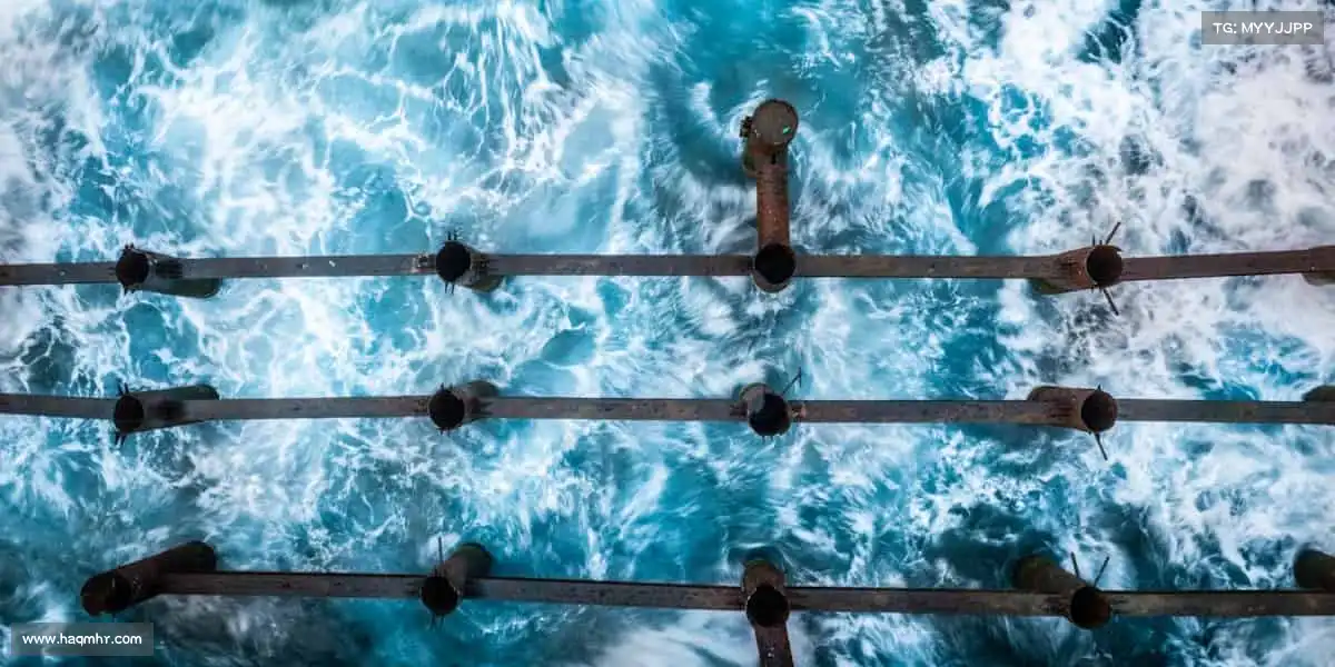 一飞冲天300倍——点燃运动激情，释放无限活力🔥